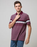 Cole Short Sleeve Polo Shirt Stripe