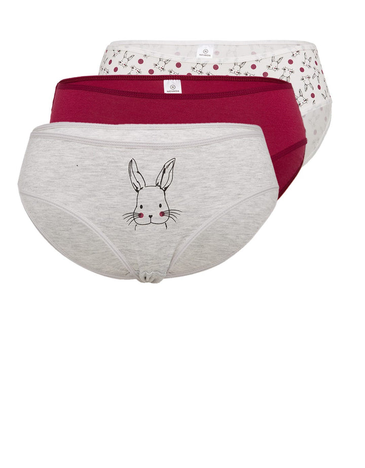 Nevada Underwear Hipster Briefs Box 3 in 1 Rabbit