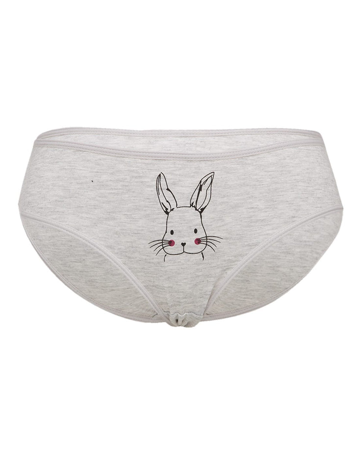 Nevada Underwear Hipster Briefs Box 3 in 1 Rabbit