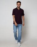Cole Short Sleeve Polo Shirt Stripe