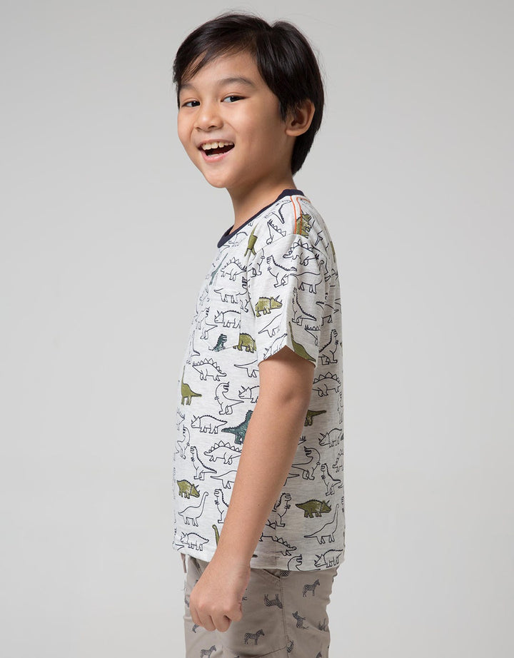 Little M Short Sleeve T-Shirt Fullprint Dino Kantong Fptd163:Misty Light Gr:M:Print:Short Sleeve T-Shirt