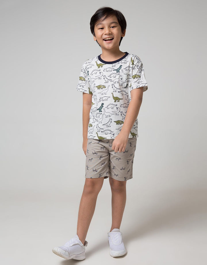 Little M Short Sleeve T-Shirt Fullprint Dino Kantong Fptd163:Misty Light Gr:M:Print:Short Sleeve T-Shirt