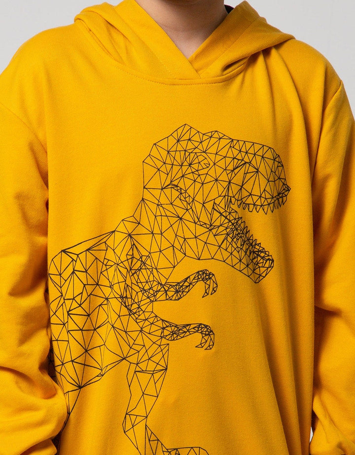 Aero Kids Sweatshirt Knitting Hoody Regular Painting Dino 