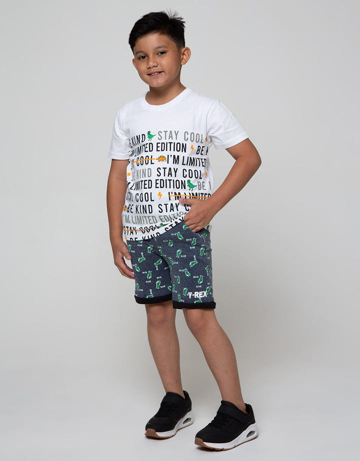 SS T-SHIRT PRINT DIN