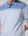 Walrus Polo Stripe