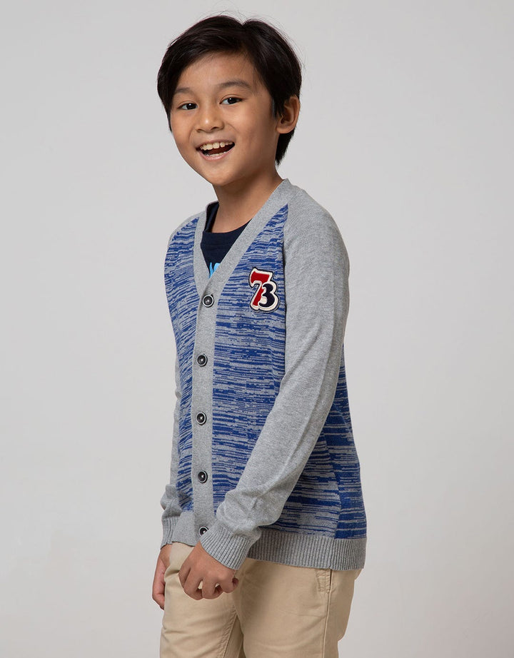 Cardinal Kids Boy Motif V-Neck Sweater