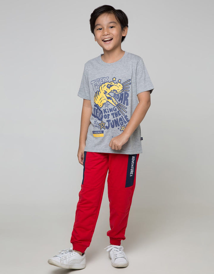 Cardinal Kids Boy T-Shirt Short Sleeve