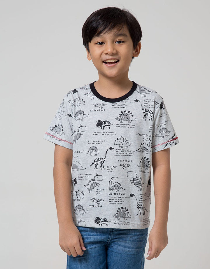 Little M Short Sleeve T-Shirt Fullprint Dino