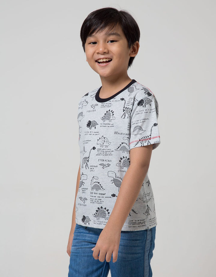 Little M Short Sleeve T-Shirt Fullprint Dino
