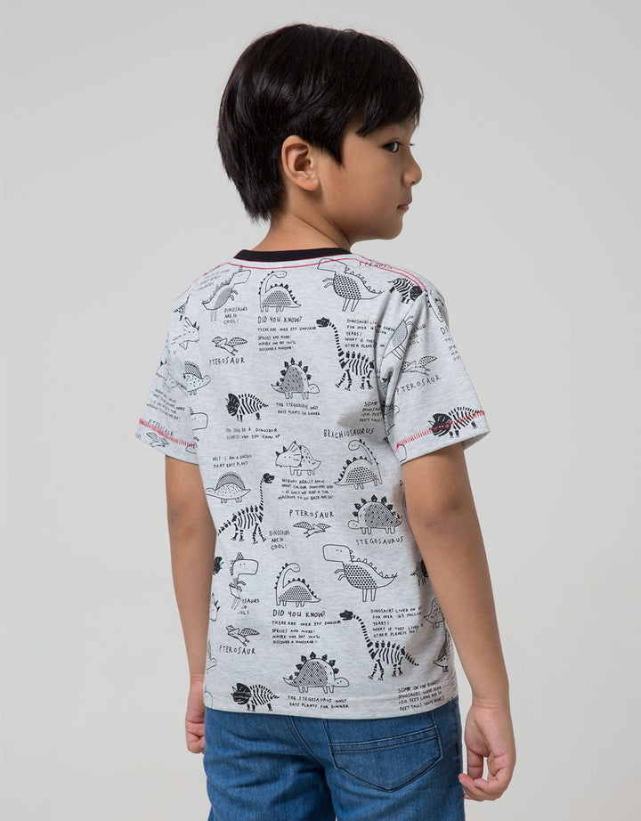 Little M Short Sleeve T-Shirt Fullprint Dino