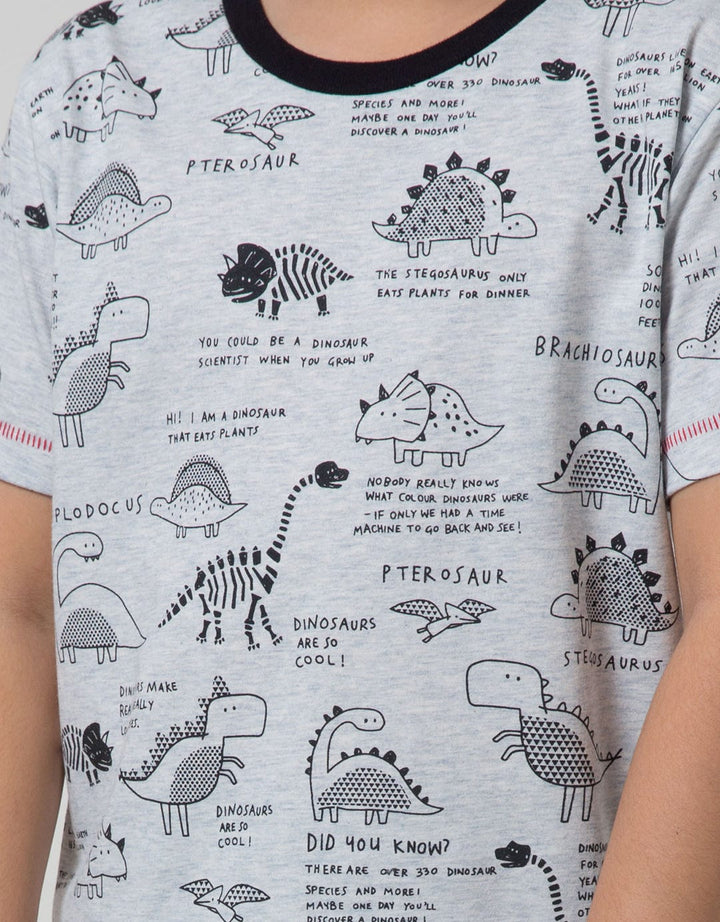 Little M Short Sleeve T-Shirt Fullprint Dino