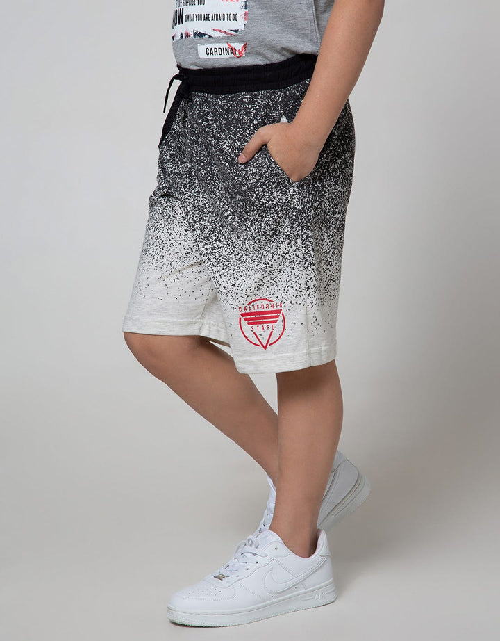 Aero Shorts Pants Splash