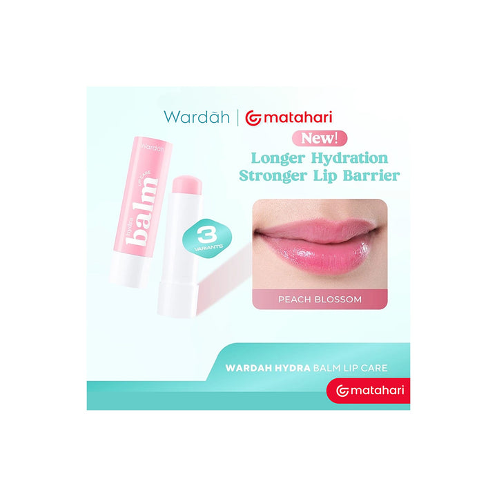 Wardah Everyday Fruity Sheer Lip Balm Strawberry 4 g