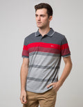 Walrus Men's Polo Shirt Striped Combination Motif