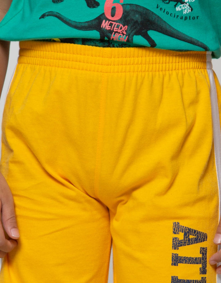 Little M Short Pants Knit Athletic Crack Print