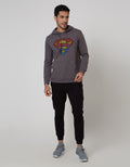 Nevada Sweatshirt Warner Bros Pullover Hoodie Superman Logo