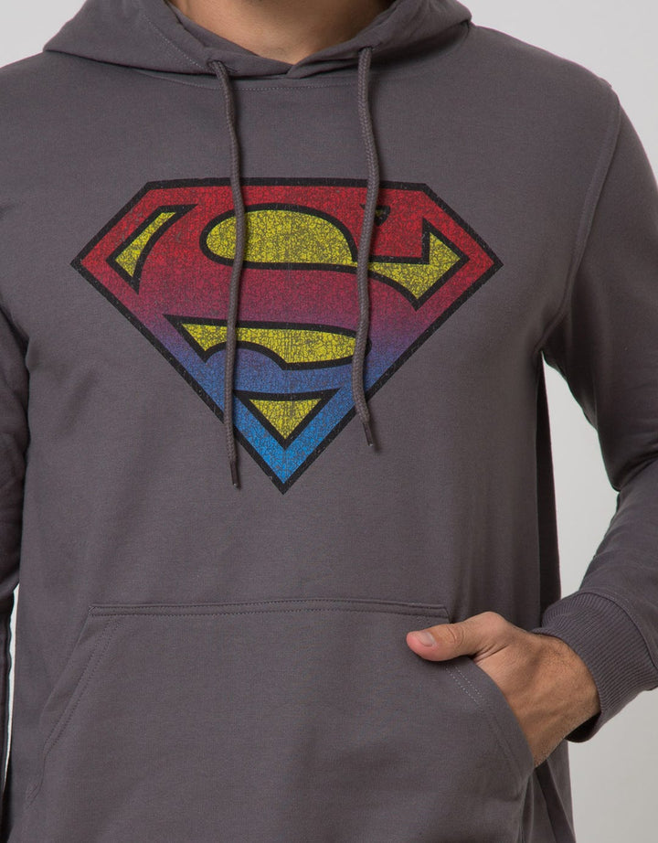 Nevada Sweatshirt Warner Bros Pullover Hoodie Superman Logo