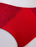 St. Yves Midi Briefs Lace