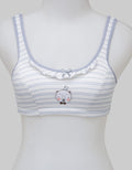 Nevada Mini Set Step 1 Stripe Bear