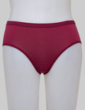St. Yves Midi Briefs Panty Basic