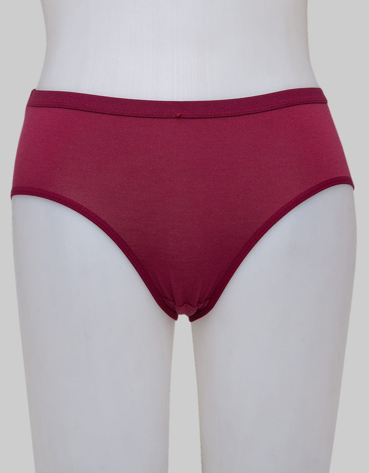 St. Yves Midi Briefs Panty Basic