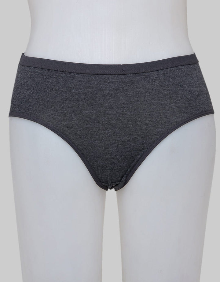 St. Yves Midi Briefs Panty Basic