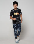 Character Batman Kaos Logo Battech Foil