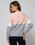Nevada Sweatshirt Solid Cut And Sew Inspiring