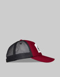 Nevada Topi Adventure