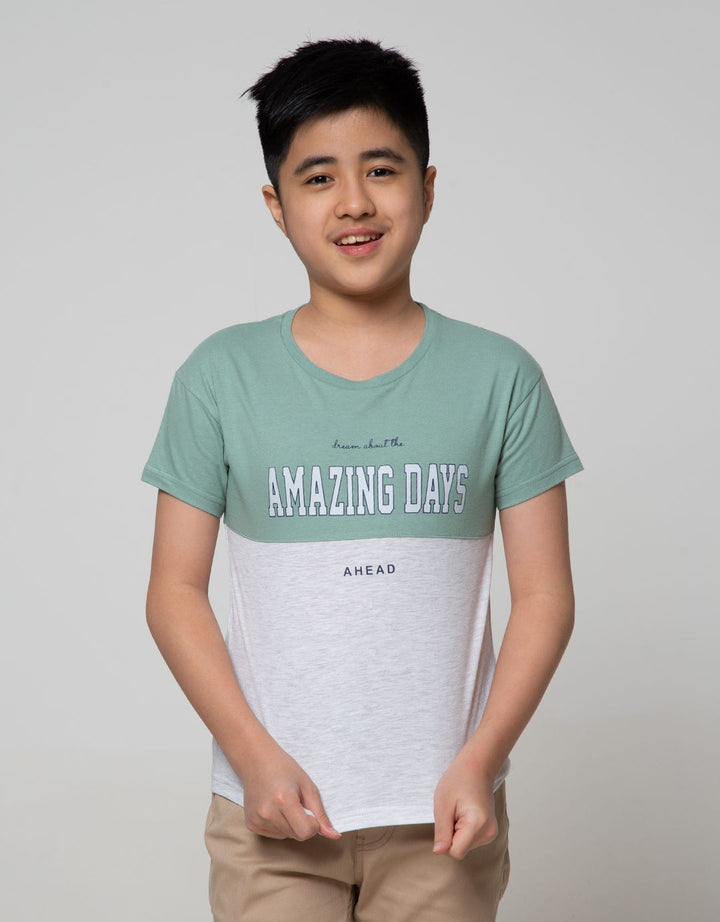 Nevada Short Sleeve T-Shirt Cut And Sewn Amazing Days