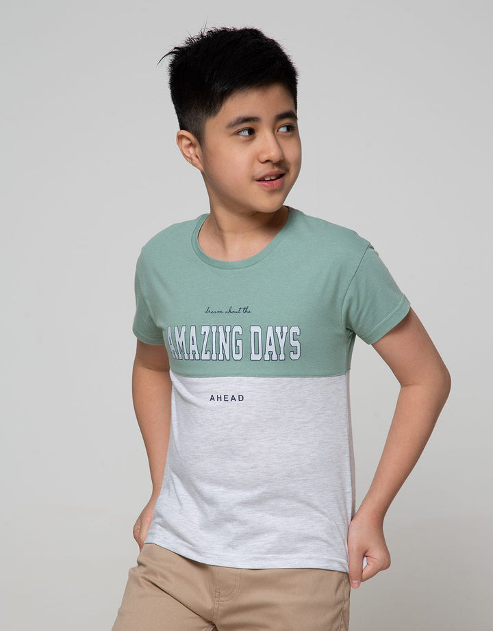 Nevada Short Sleeve T-Shirt Cut And Sewn Amazing Days