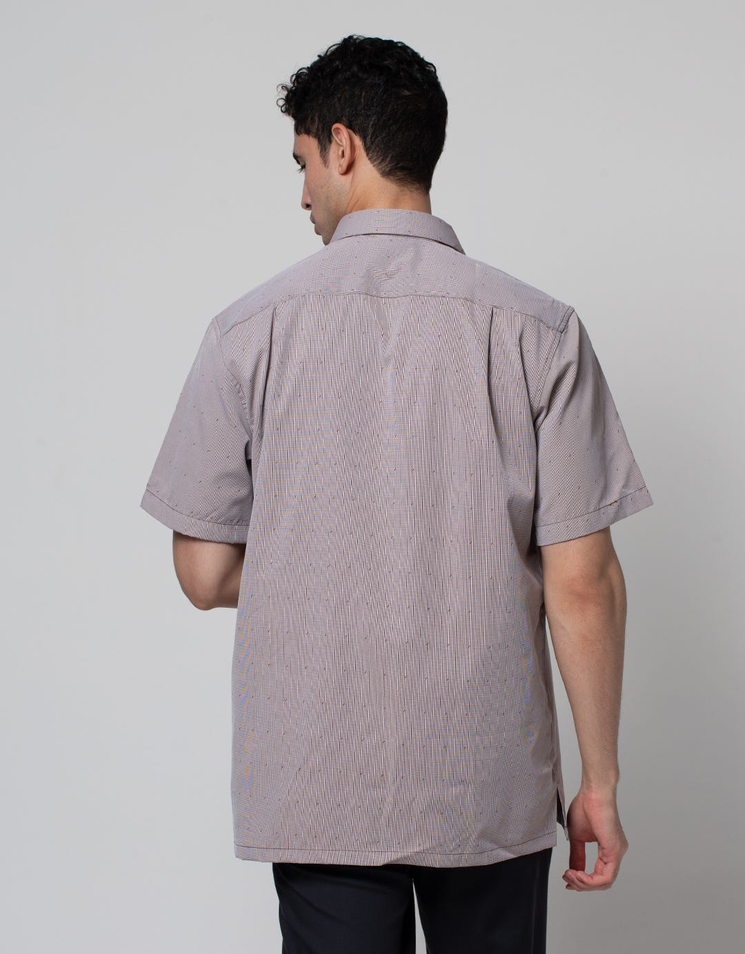 Stanley Adams Short Sleeve Shirt Stripes Regular
