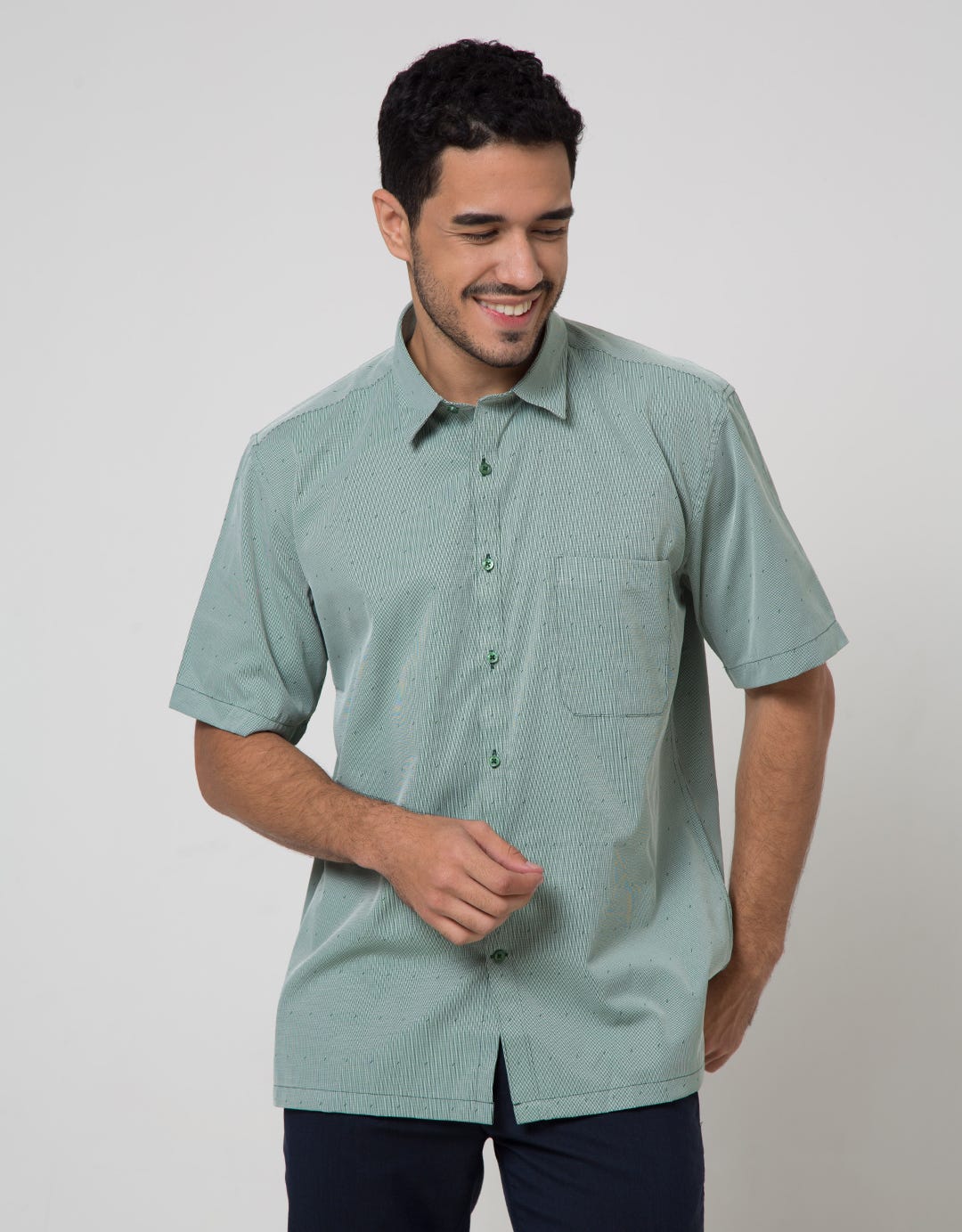 Stanley Adams Short Sleeve Shirt Stripes Regular