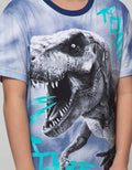 Aero Short Sleeve T-Shirt Fullprint Tiedye Dino