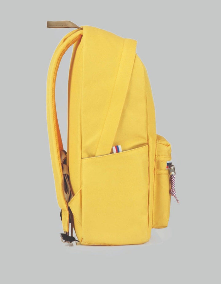 American Tourister Carter Backpack –