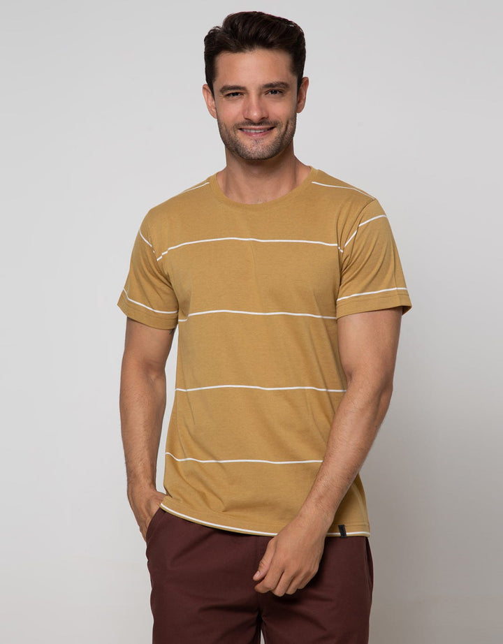 Details Short Sleeve T-Shirt Reg Stripe Engineered Cotton