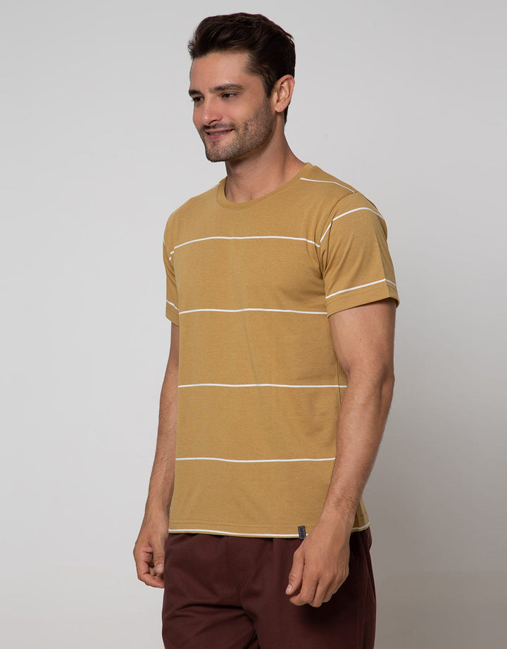 Details Short Sleeve T-Shirt Reg Stripe Engineered Cotton