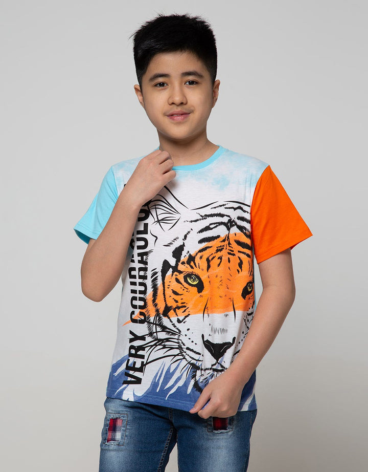 Aero Short Sleeve T-Shirt Print Rainbow Tiger