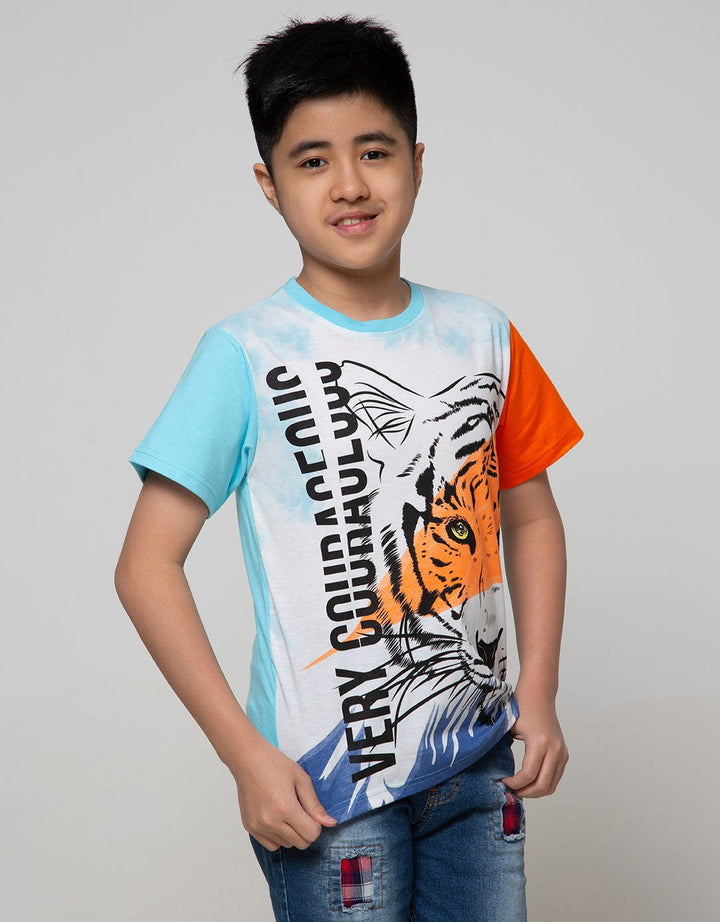 Aero Short Sleeve T-Shirt Print Rainbow Tiger