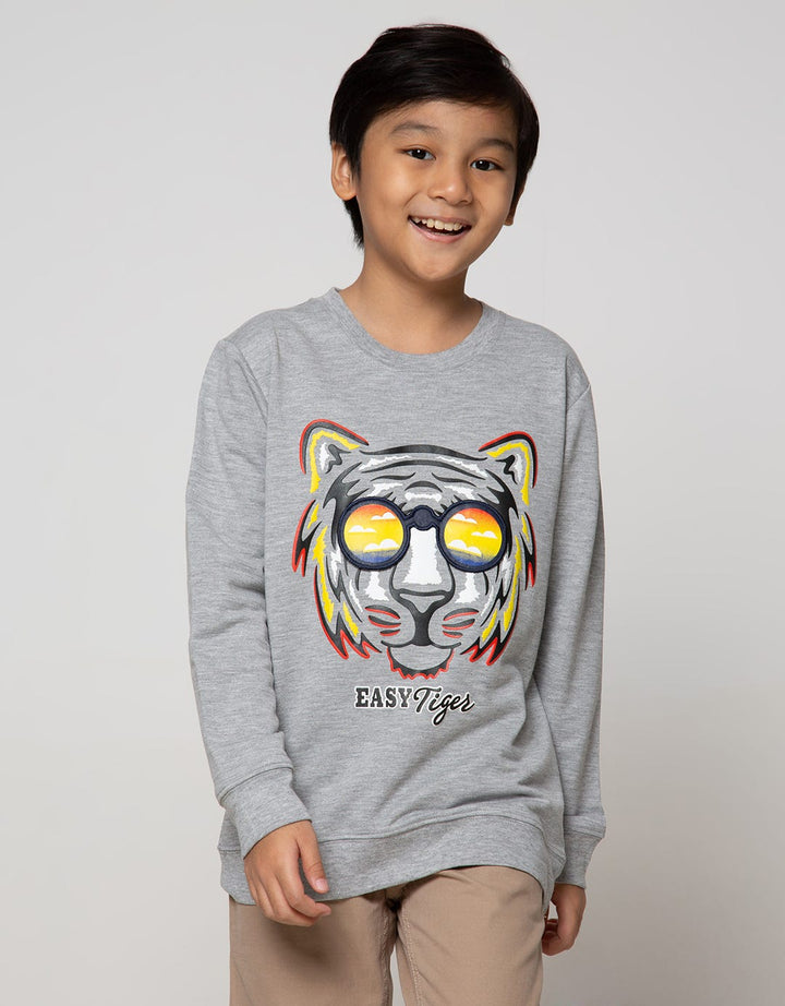 Aero Sweatshirt Knitting Print Regu Easy Tiger Boys