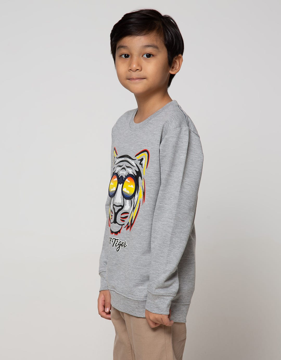 Aero Sweatshirt Knitting Print Regu Easy Tiger Boys
