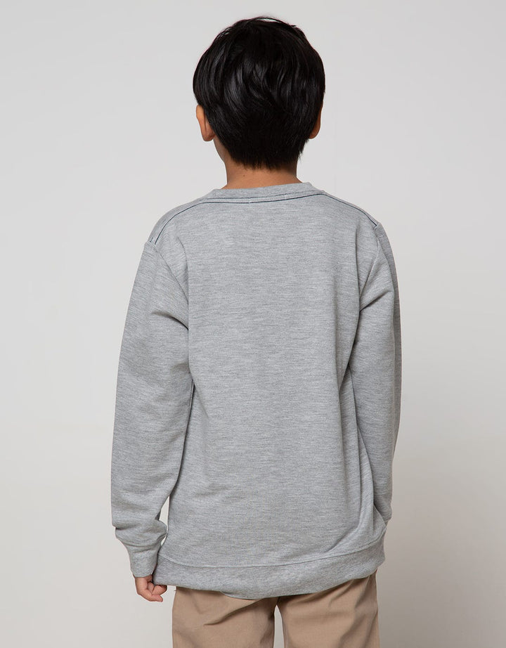 Aero Sweatshirt Knitting Print Regu Easy Tiger Boys