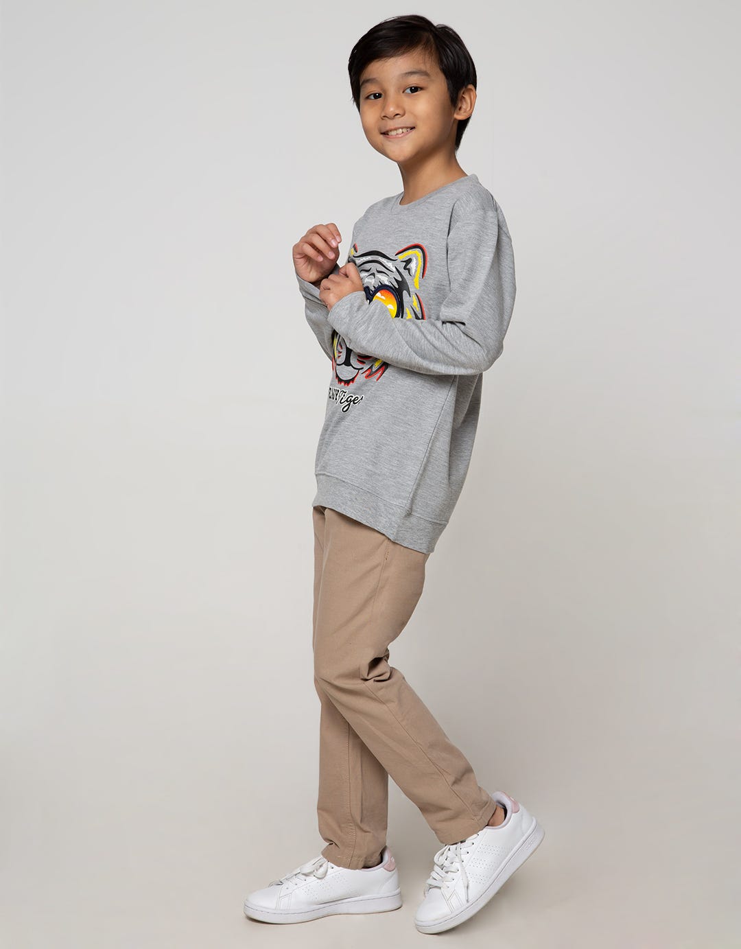 Aero Sweatshirt Knitting Print Regu Easy Tiger Boys