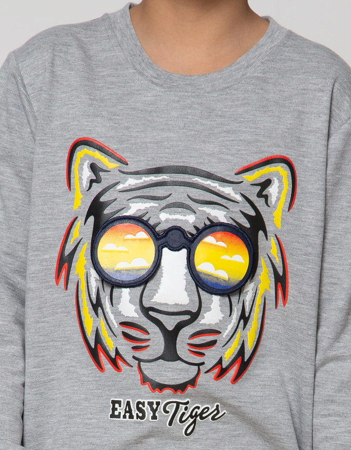 Aero Sweatshirt Knitting Print Regu Easy Tiger Boys