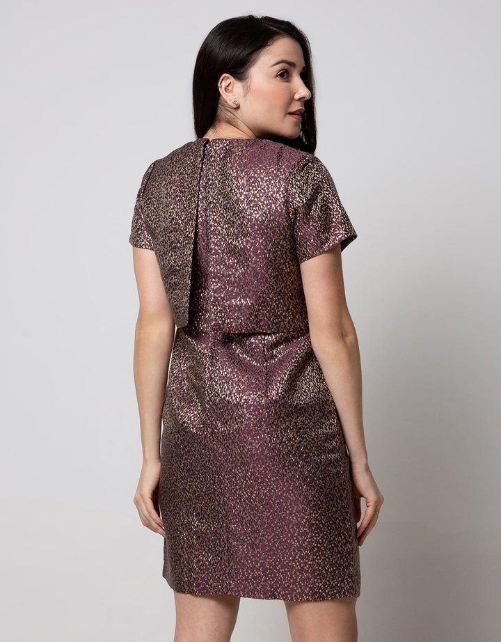 Cardinal Femme Layer Look Dress