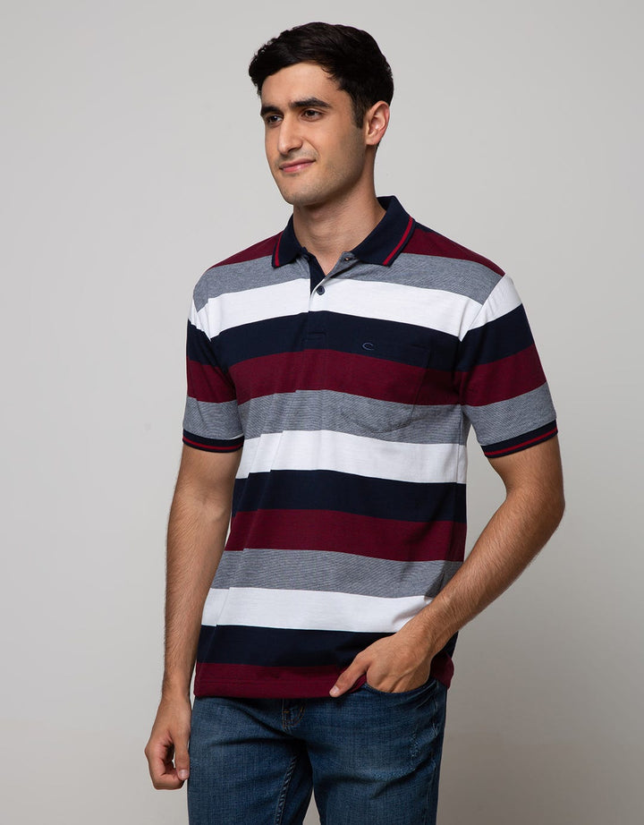 Cole Short Sleeve Polo Shirt Stripe Tone