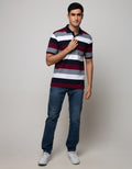 Cole Short Sleeve Polo Shirt Stripe Tone