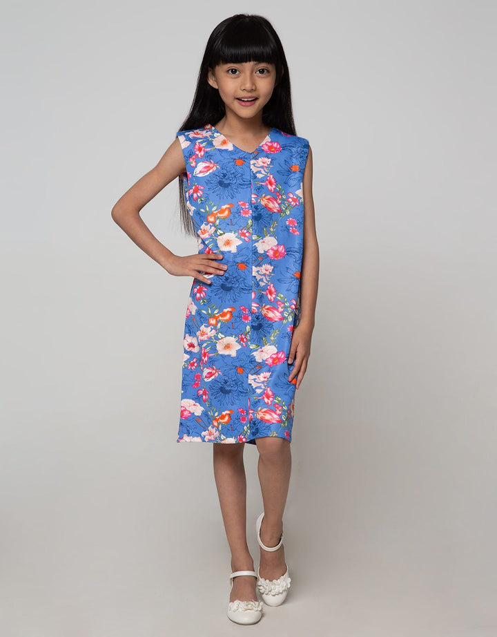 Appleberry Blue Dress