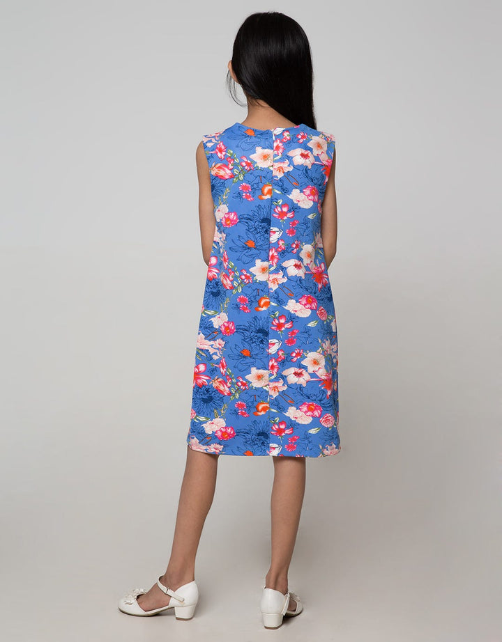 Appleberry Blue Dress