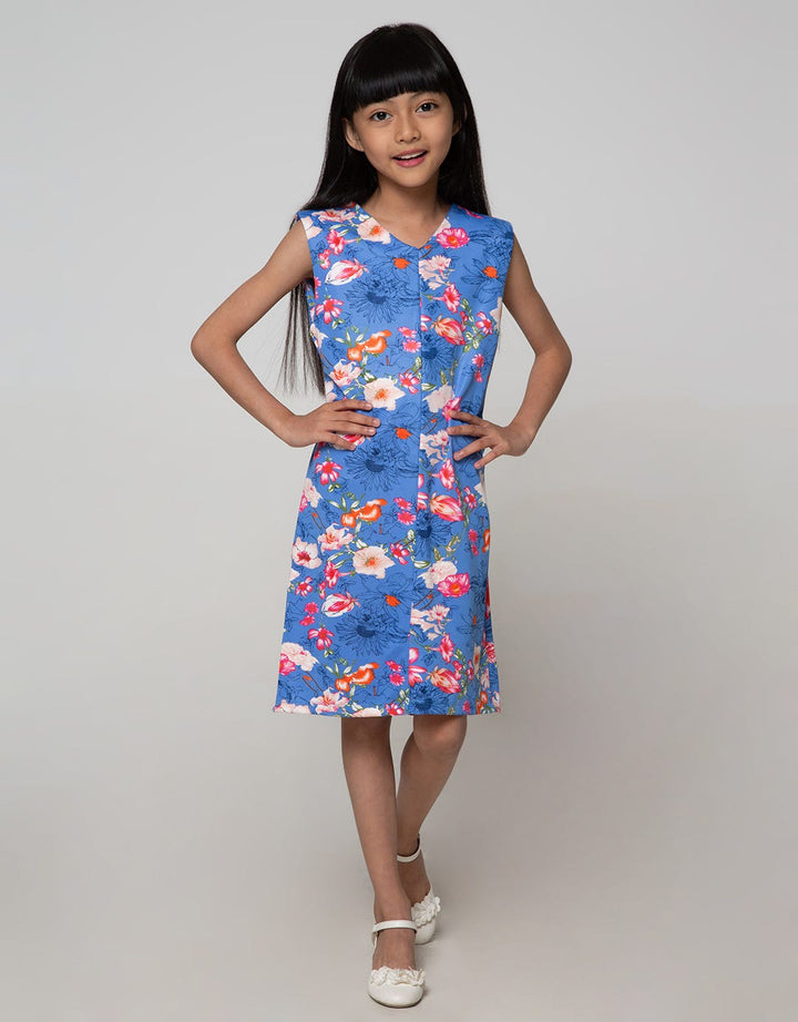 Appleberry Blue Dress